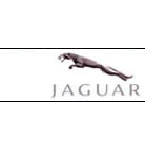 jaguar  car mats